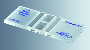 CELLULE DE MALASSEZ – Image 3