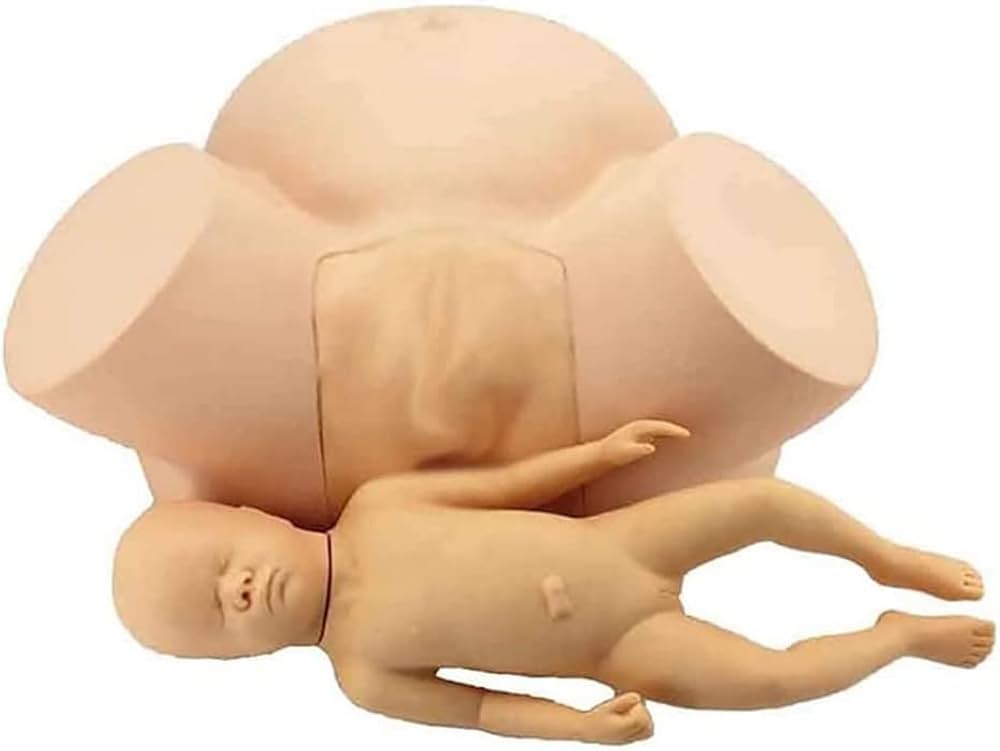 MANNEQUIN ACCOUCHEMENT MODELE BEBE BASSIN – Image 2