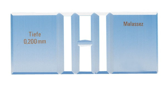 CELLULE DE MALASSEZ – Image 2