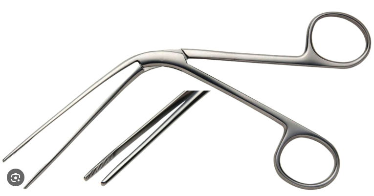 PINCE NASALE TILLEY 16 CM - LUBET BARBON – Image 2