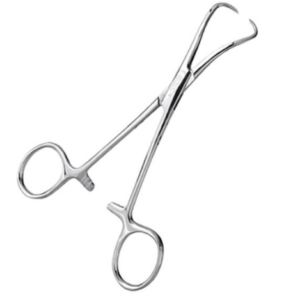 BACKHAUS FIXE CHAMPS/ PINCE A CHAMPS