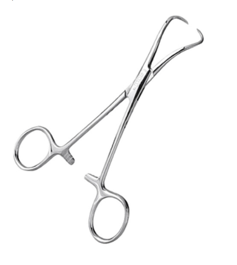 BACKHAUS FIXE CHAMPS/ PINCE A CHAMPS