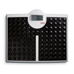 BALANCE SECA 813