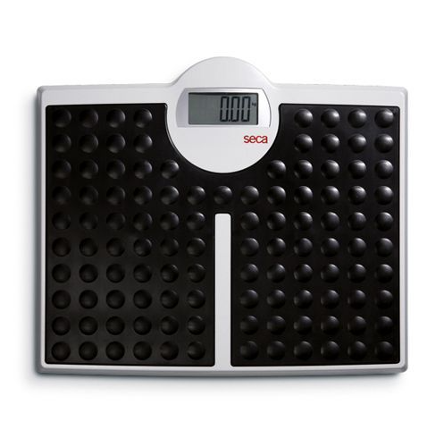 BALANCE SECA 813