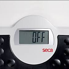 BALANCE SECA 813 – Image 5