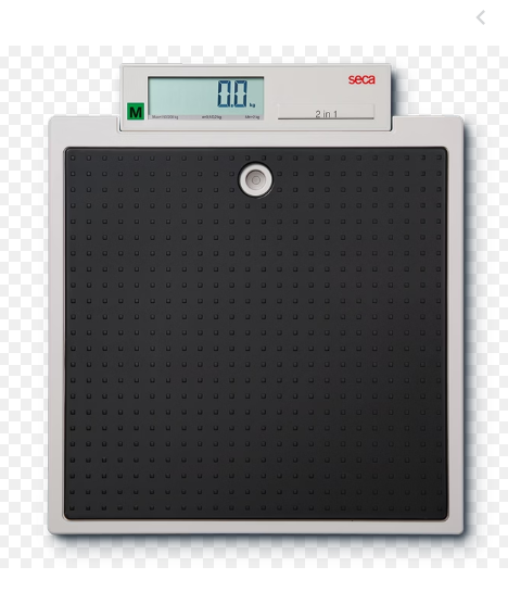 PESE PERSONNE ELECTRONIQUE SECA 877 – Image 2