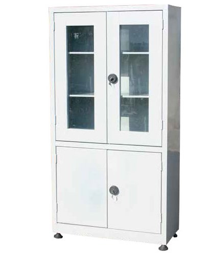 ARMOIRE METALLIQUE LOCALE PORTES VITREES – Image 2