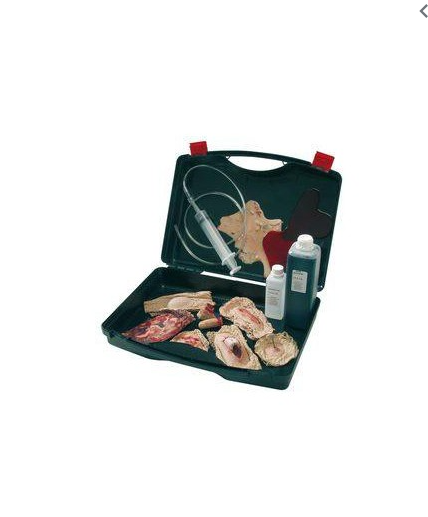 KIT DE BLESSURE (PLAIES) 5-7 FAUSSES PLAIES – Image 3