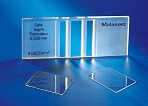 CELLULE DE MALASSEZ