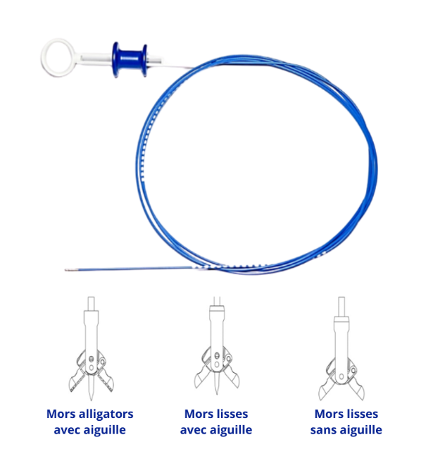 PINCE A BIOPSIE FLEXIBLE – Image 4