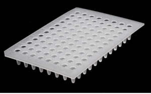 PLAQUE PCR