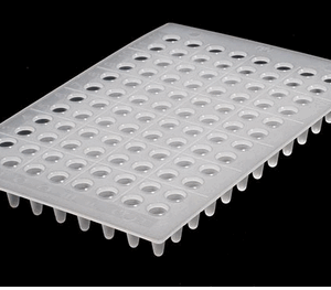 PLAQUE PCR