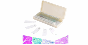 LAMES DE MICROSCOPE PREPAREES 50PCS