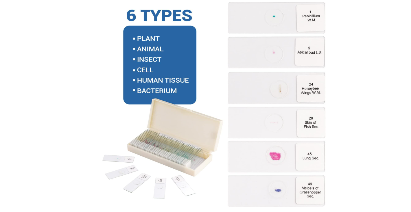 LAMES DE MICROSCOPE PREPAREES 50PCS – Image 2