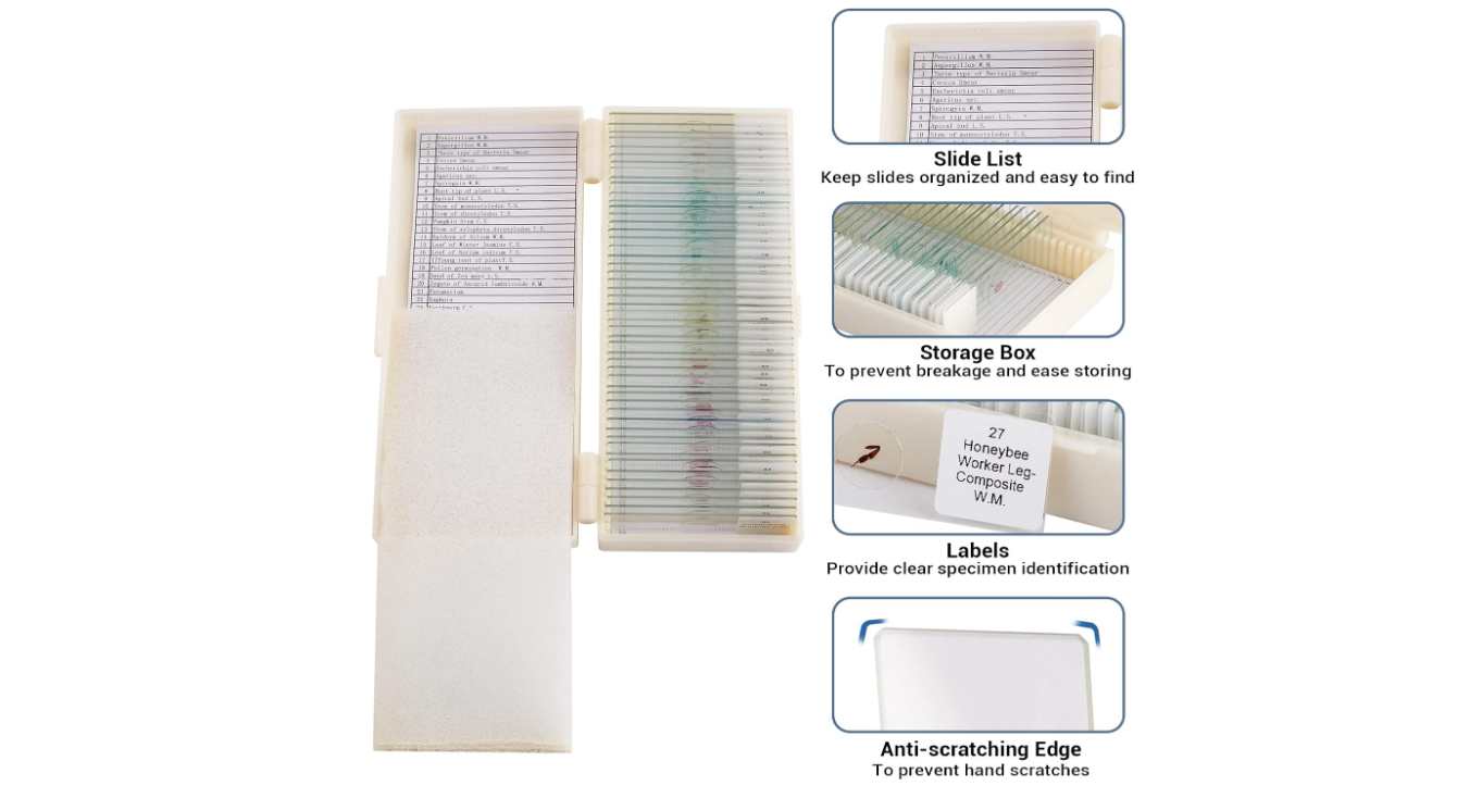 LAMES DE MICROSCOPE PREPAREES 50PCS – Image 5