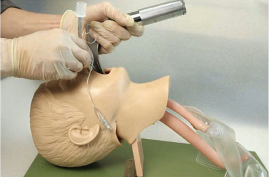 MANNEQUIN D'INTUBATION – Image 3