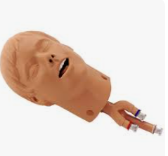 MANNEQUIN D'INTUBATION – Image 2