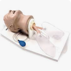 MANNEQUIN D'INTUBATION – Image 4