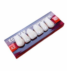 PROTHESE DENTAIRE EN RESINE