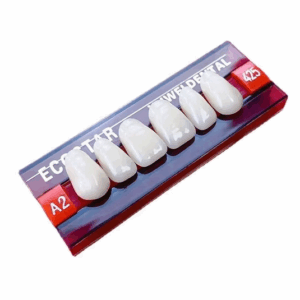 PROTHESE DENTAIRE EN RESINE