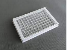 PLAQUE ELISA