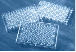 PLAQUE ELISA – Image 5