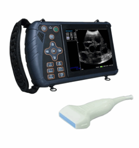 ECHOGRAPHE PORTABLE VETERINAIRE DAWEI S1