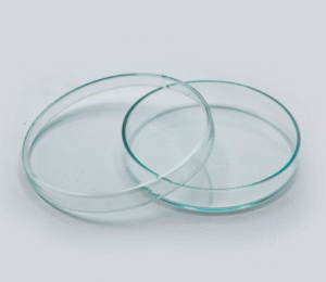 BOITE DE PETRI EN VERRE 90MM 60MM